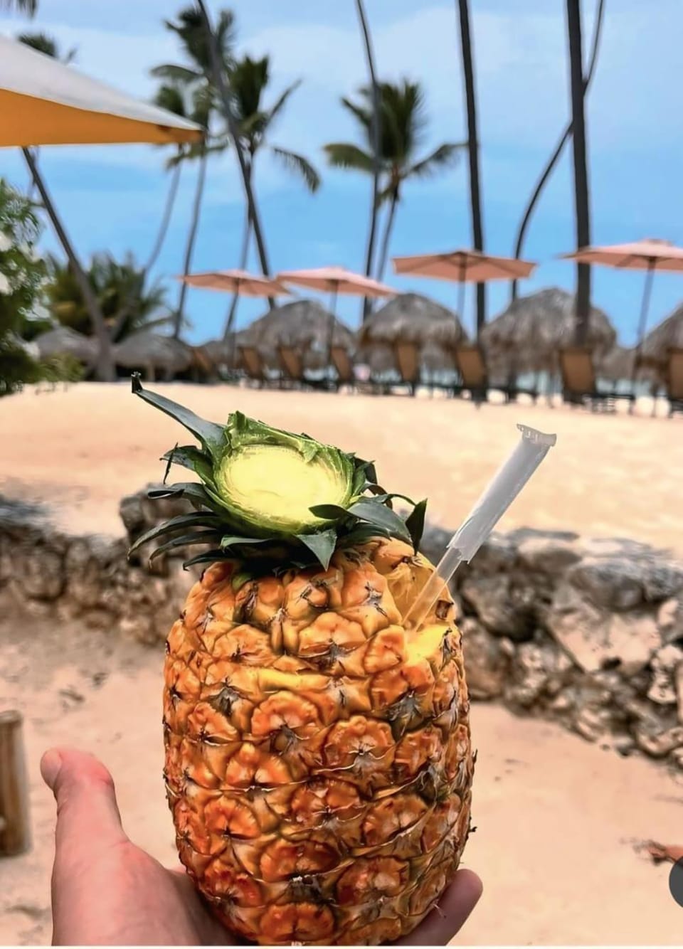 Restaurant/places to eat, Restaurant/places to eat, Natural landscape, Lounge or bar, Food and drinks, Beach, Drinks