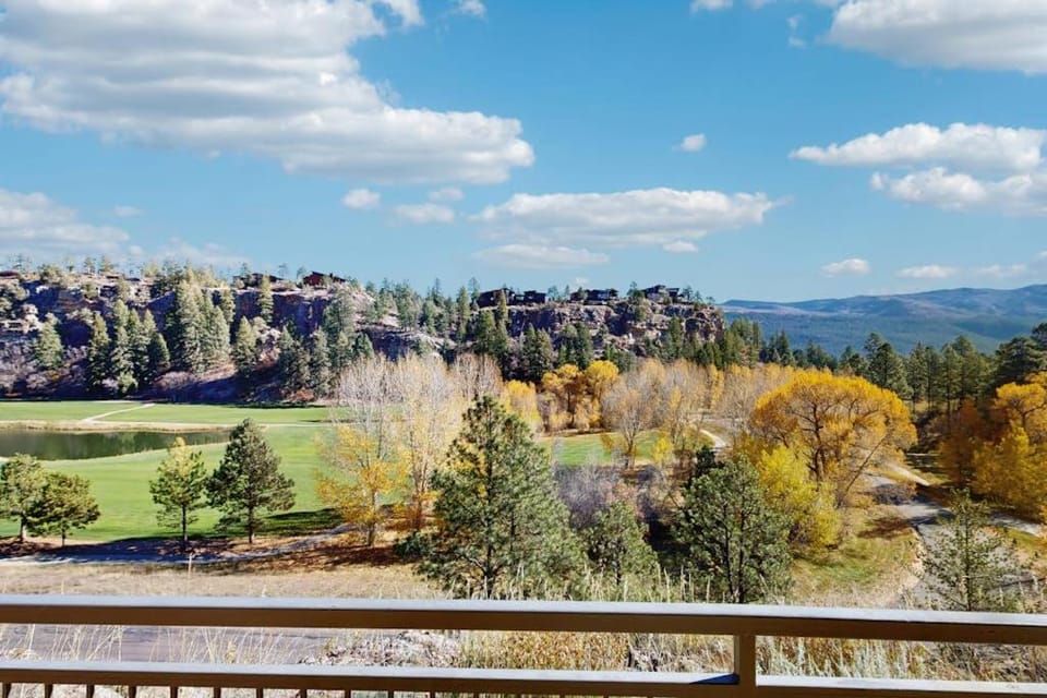 Million Dollar View- 419 Apartment in La Plata County