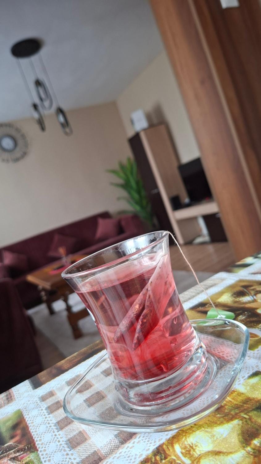 Grand Albi Apartament Apartment in North Macedonia