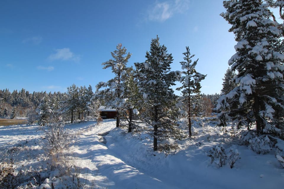 Winter