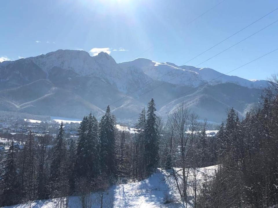 Domek Rochowa Buźnica apartament 2 Apartment in Zakopane