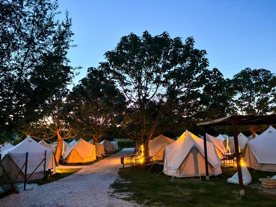 Natural landscape, Garden view