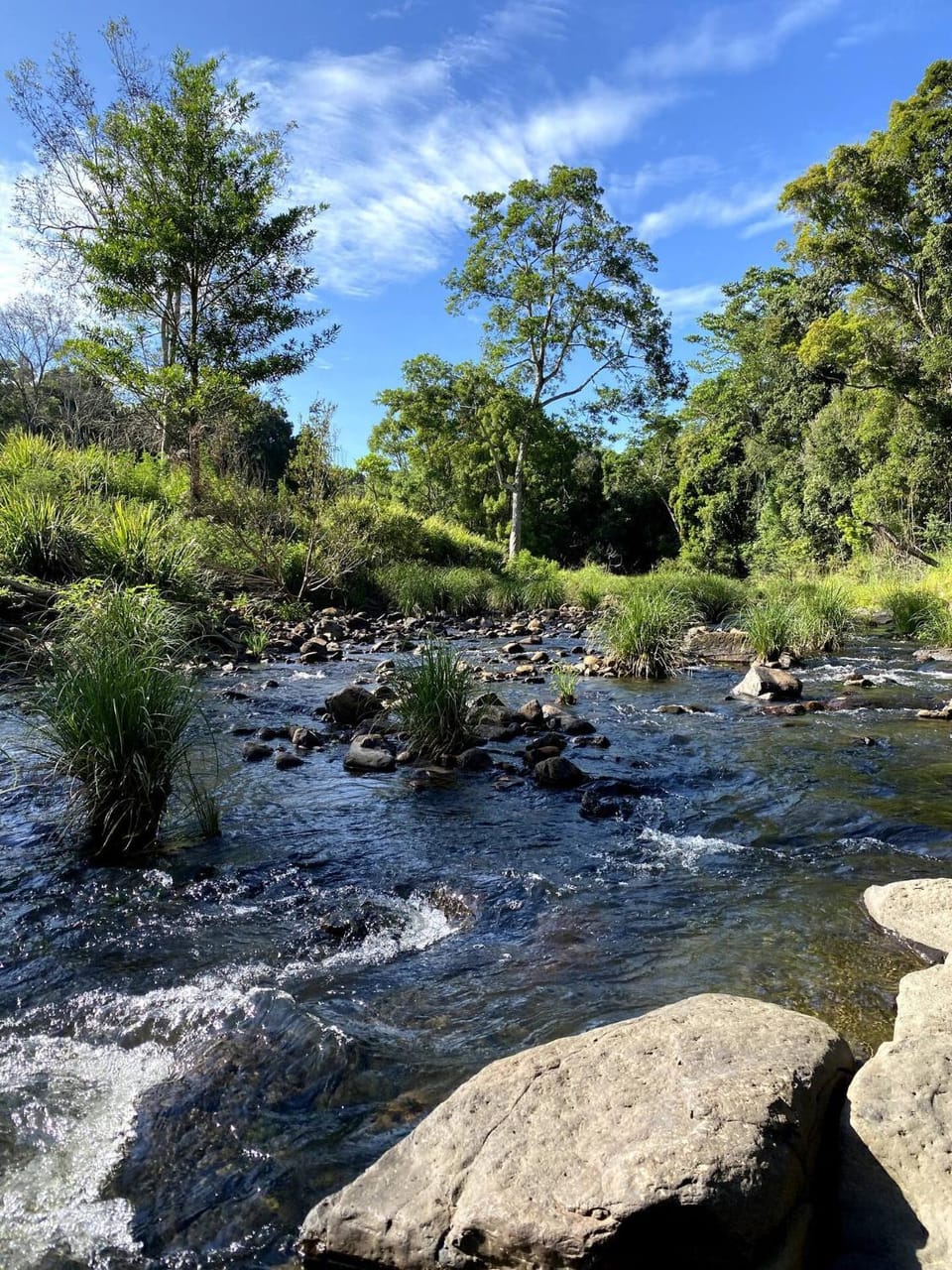 Natural landscape