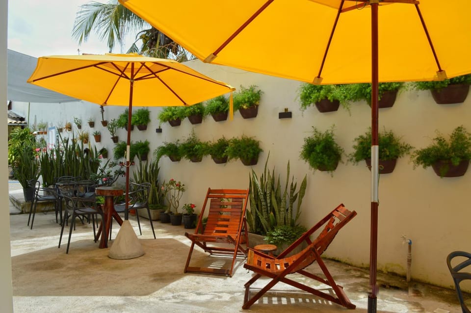 Patio, Day, Garden, Garden view, sunbed