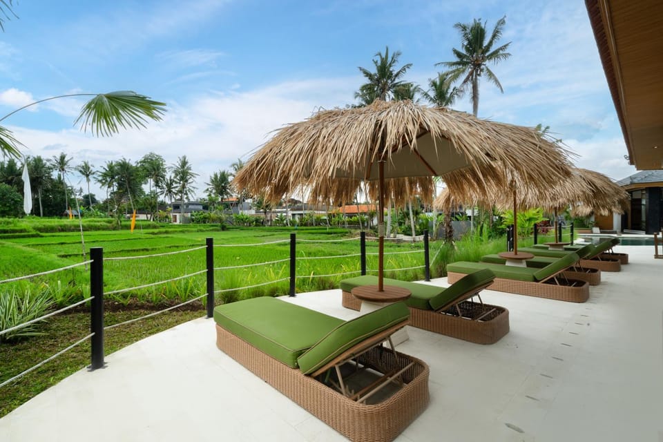 Day, Garden, Garden view