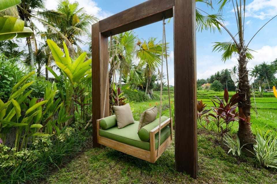 Day, Natural landscape, Garden view