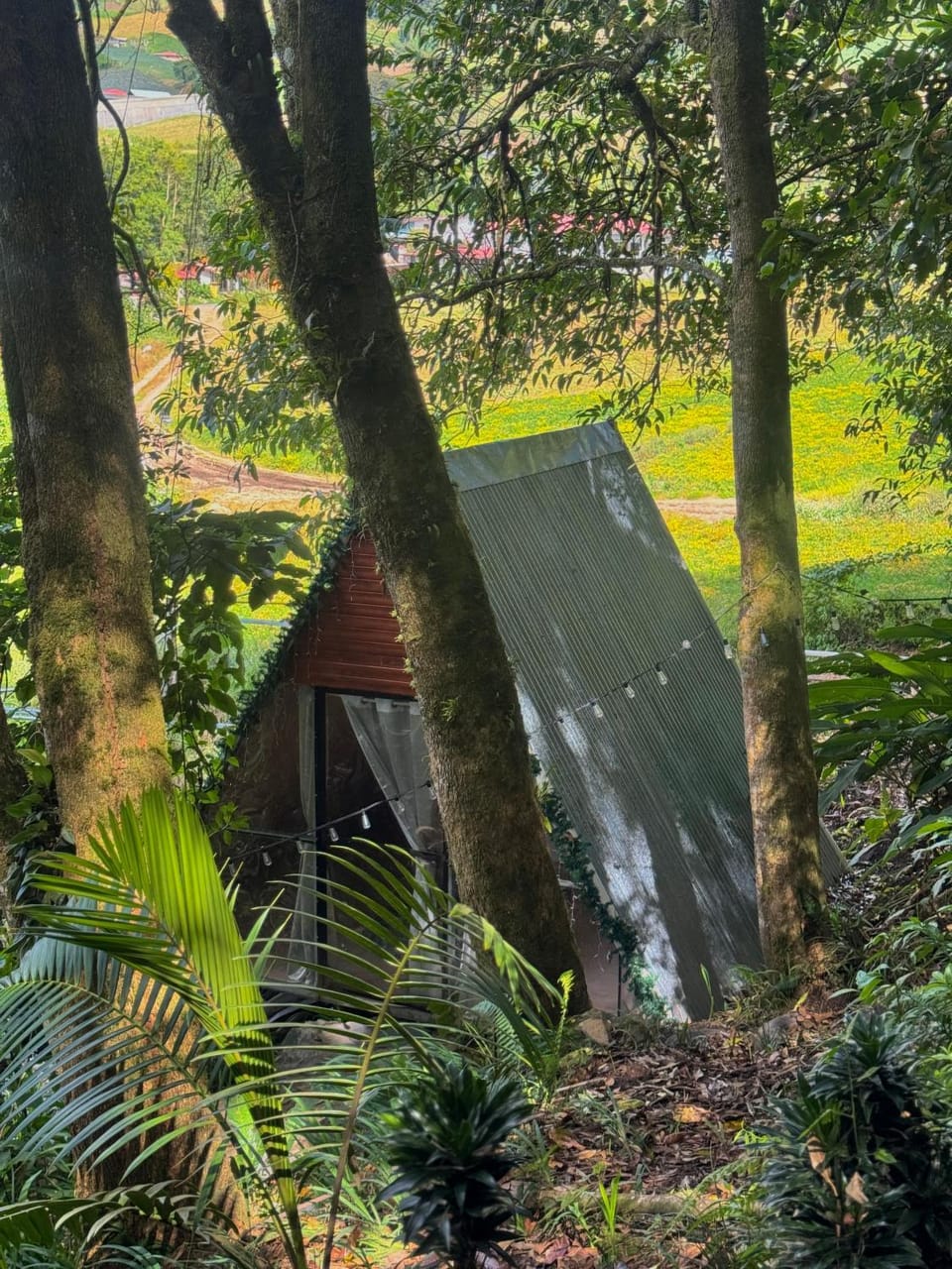 Eco Amigo el Rincón Luxury tent in Bocas del Toro Province
