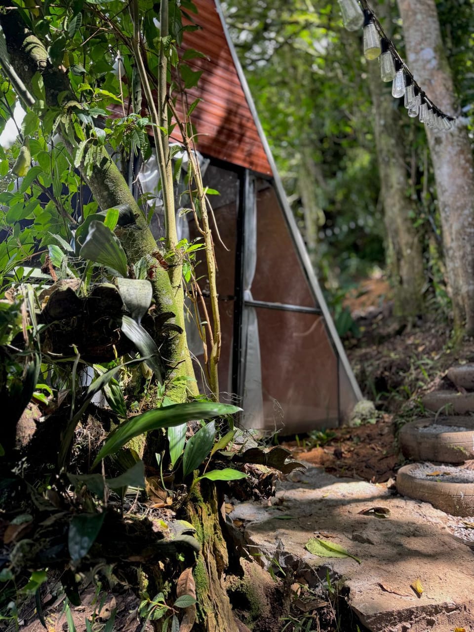 Eco Amigo el Rincón Luxury tent in Bocas del Toro Province