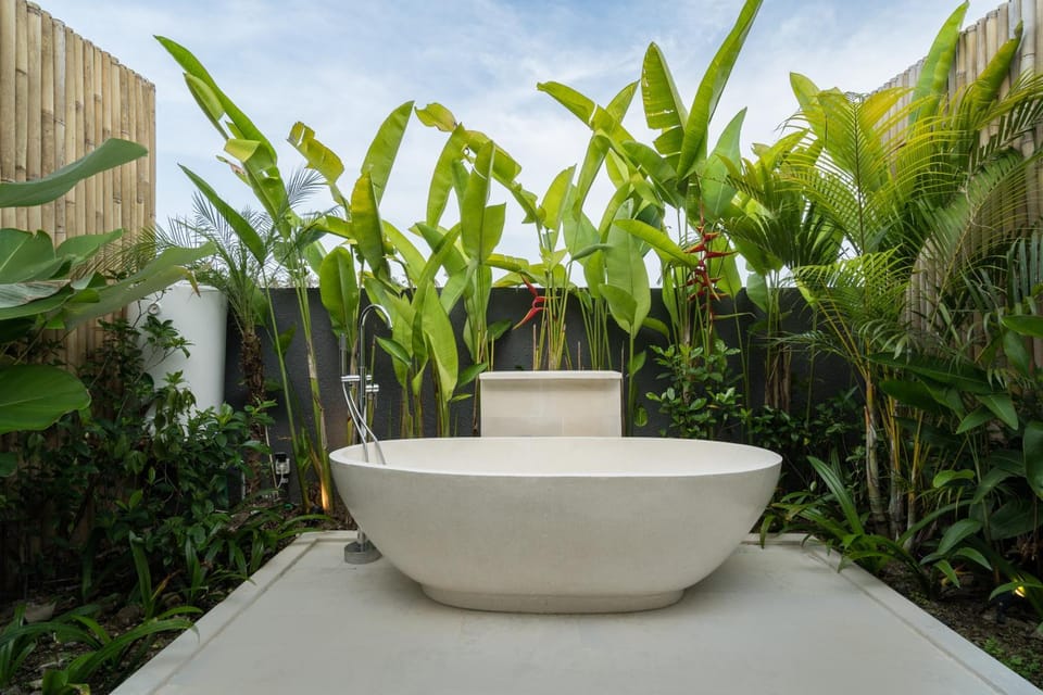 Day, Garden view