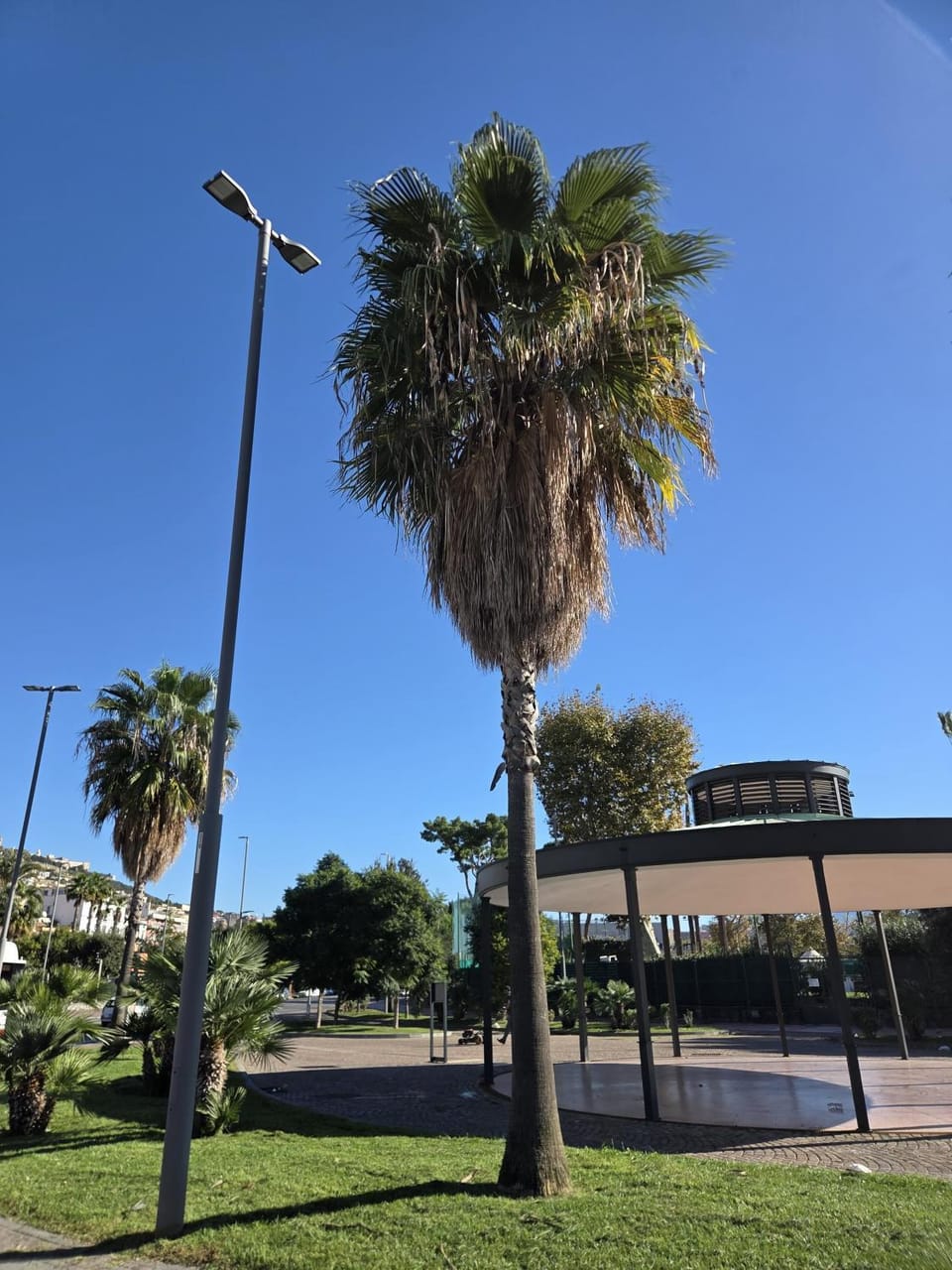 Chiarù House in Naples