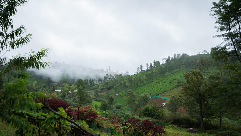 Day, Natural landscape, Mountain view