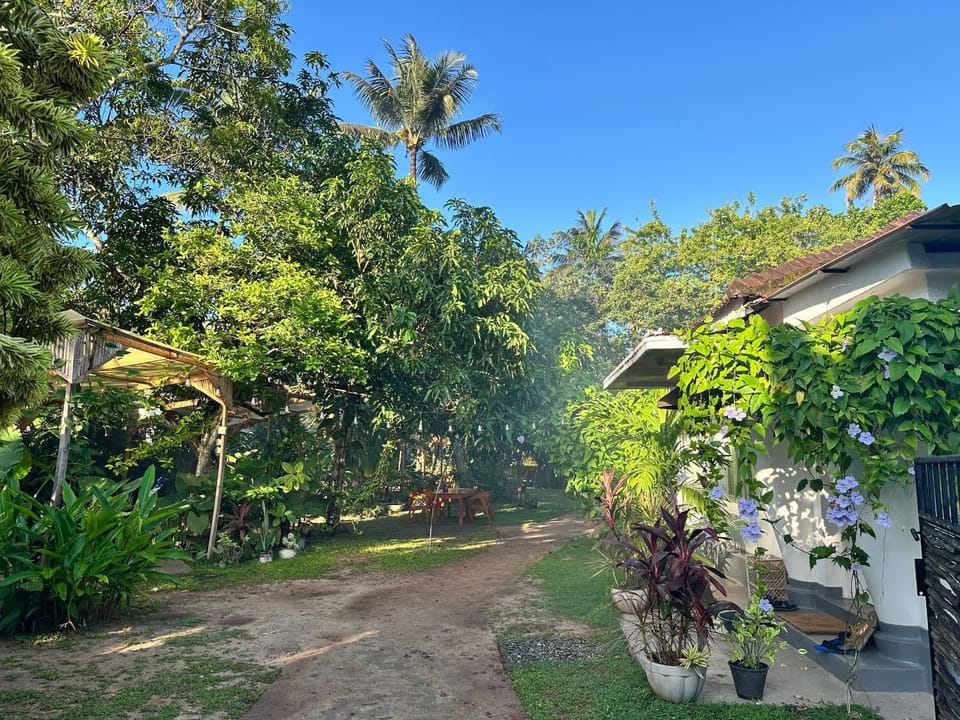 Solmate Collective Guesthouse - Madiha Hostel in Southern Province