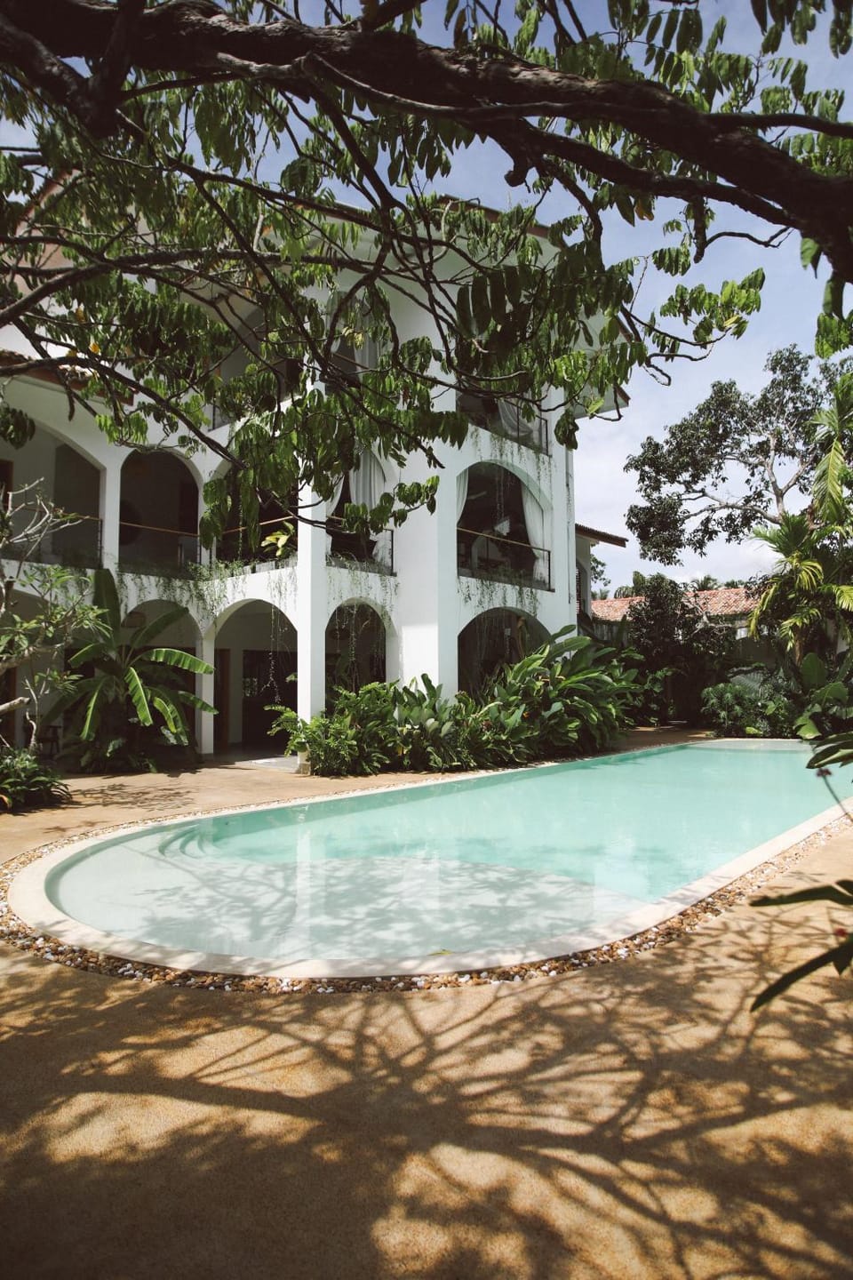 Garden, Pool view, Swimming pool