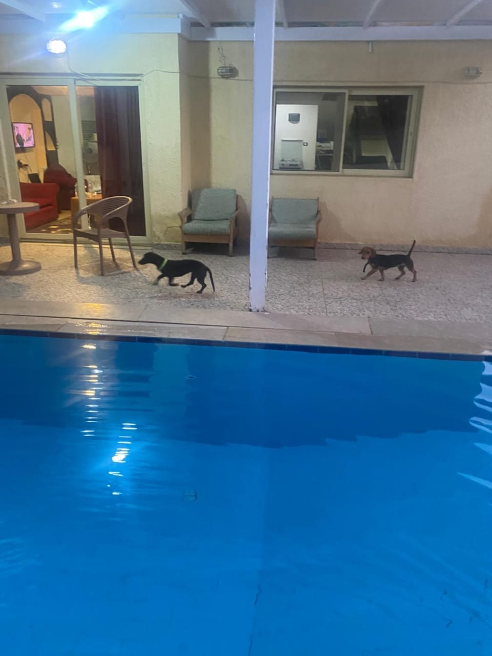 Swimming pool