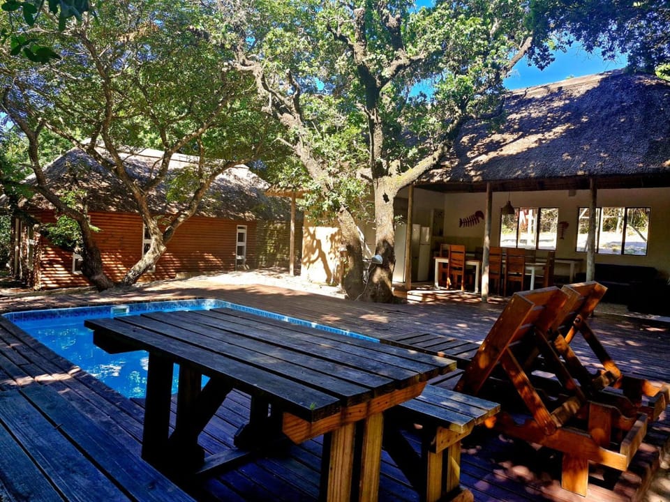 Patio, Swimming pool, sunbed