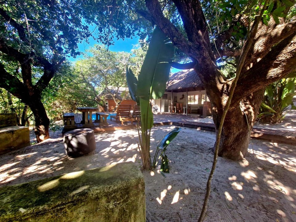 Garden view