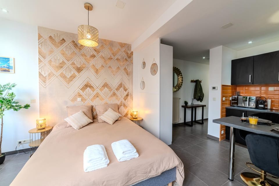 Studio Caucase - Centre-ville Saint Étienne proximité parking Apartment in Saint-Étienne