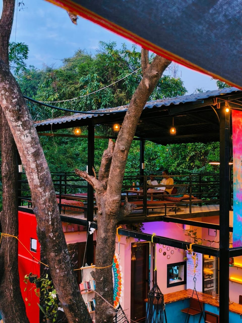 Communal lounge/ TV room, Garden, Evening entertainment, Garden view