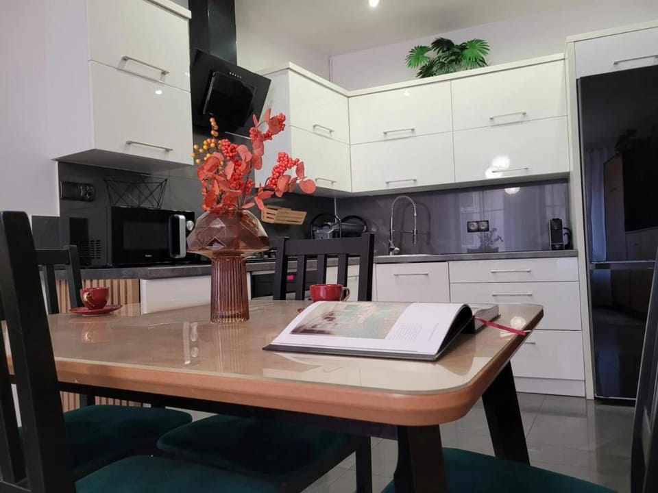 Kitchen or kitchenette, Dining area, stove