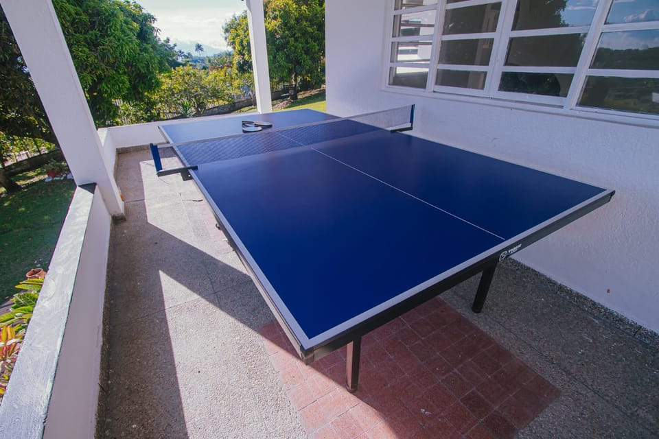 Table tennis, Table tennis