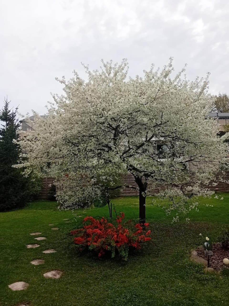 Spring, Natural landscape, Garden, Garden view