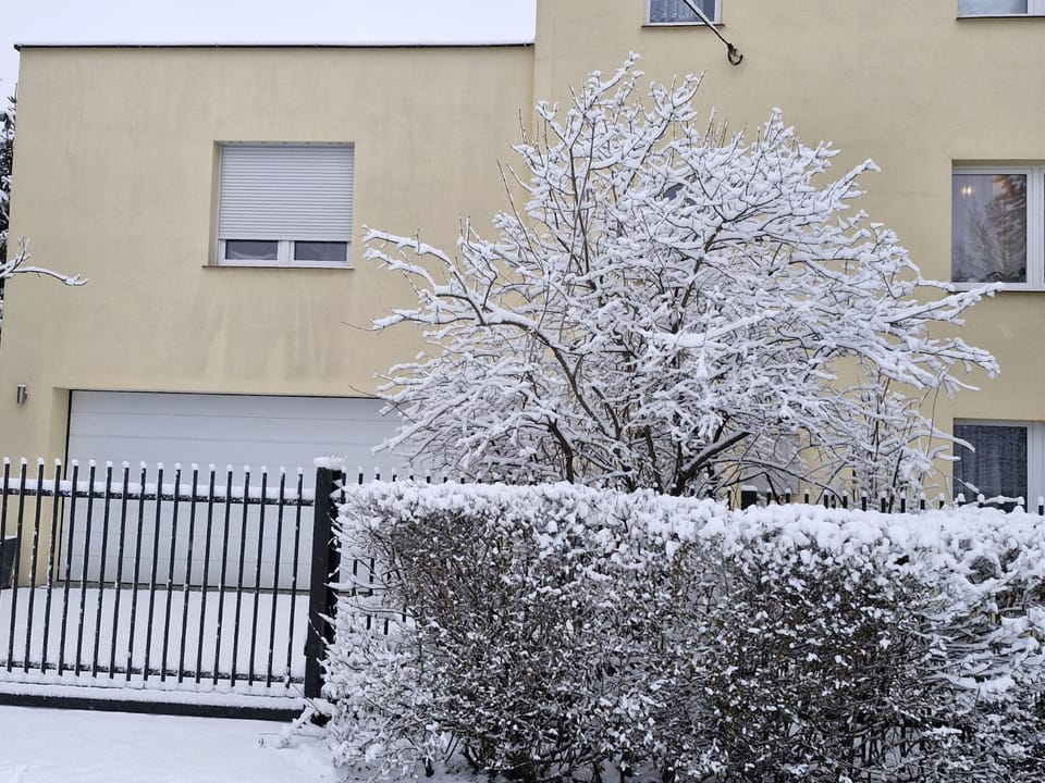 Property building, Winter