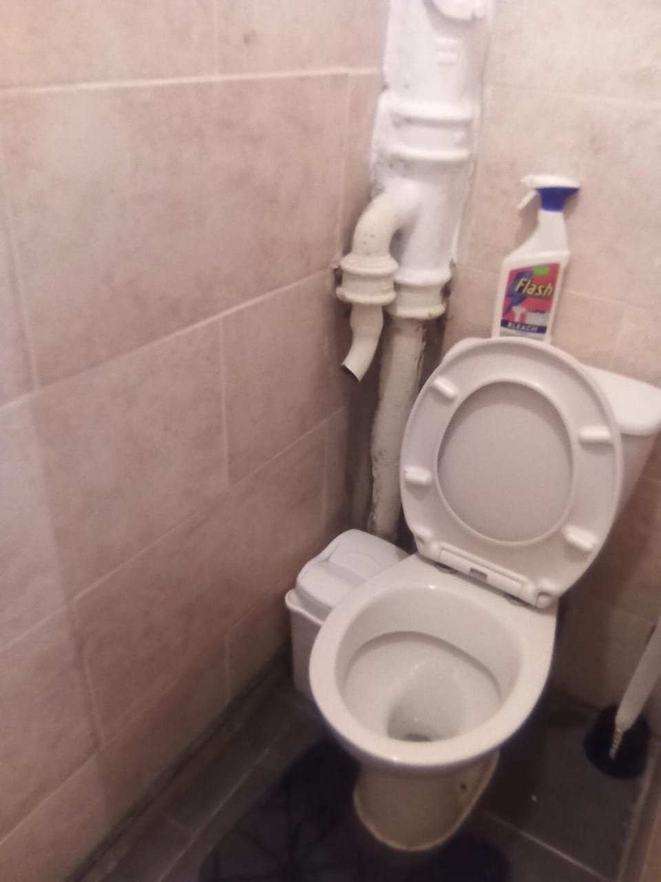 Shower, Toilet, Bathroom, Bath