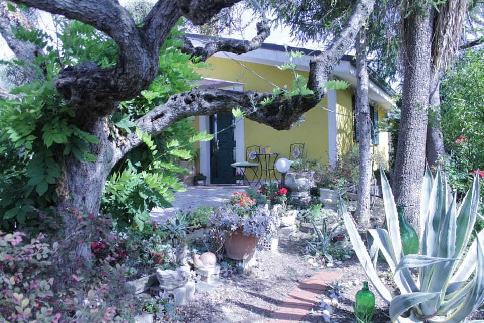 Property building, Garden, Floor plan