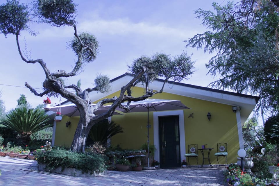 Facade/entrance, Garden, Parking