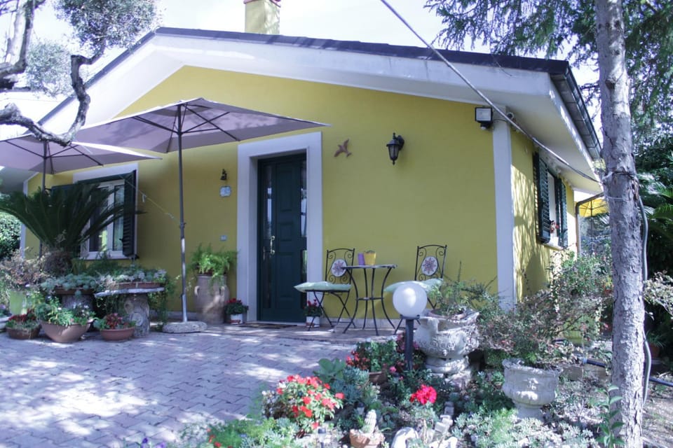Property building, Garden, Garden view