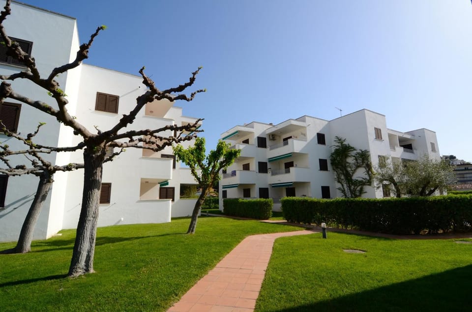 Patio, Garden, Garden view