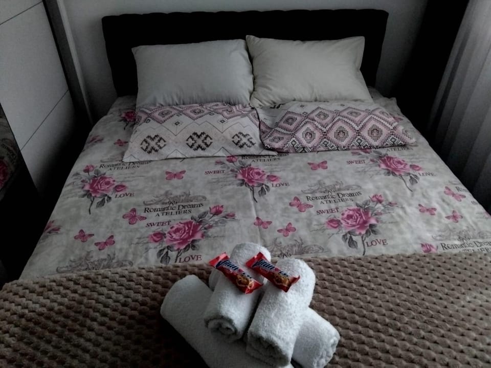 Apartman Veka KV Apartment in Serbia