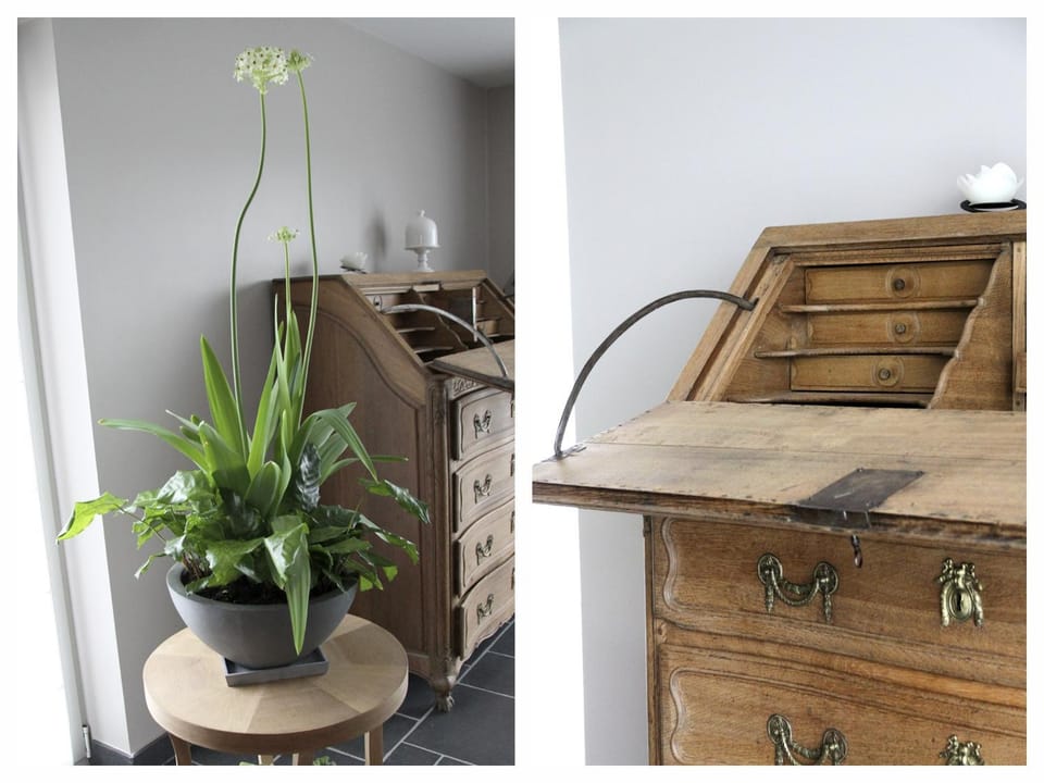 Library, Living room