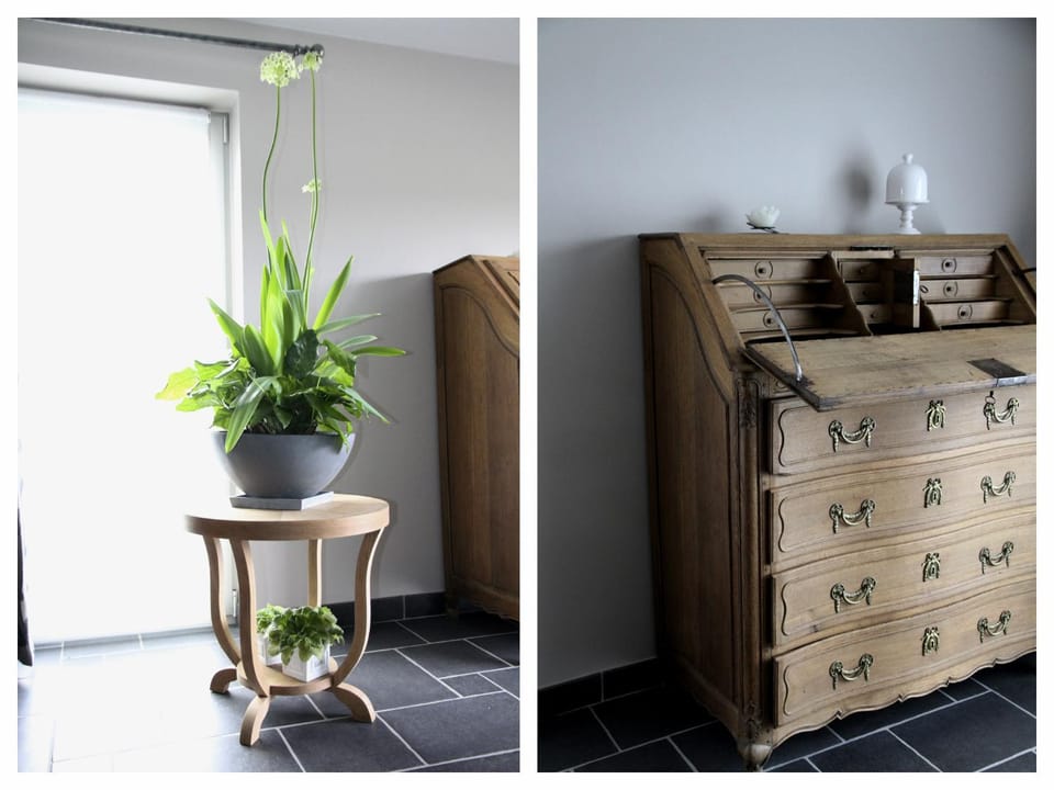 Library, Living room