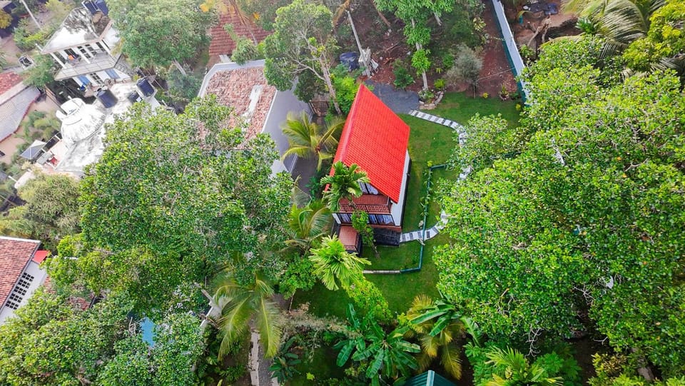 Property building, Spring, Day, Natural landscape, Bird's eye view, Garden, Garden view