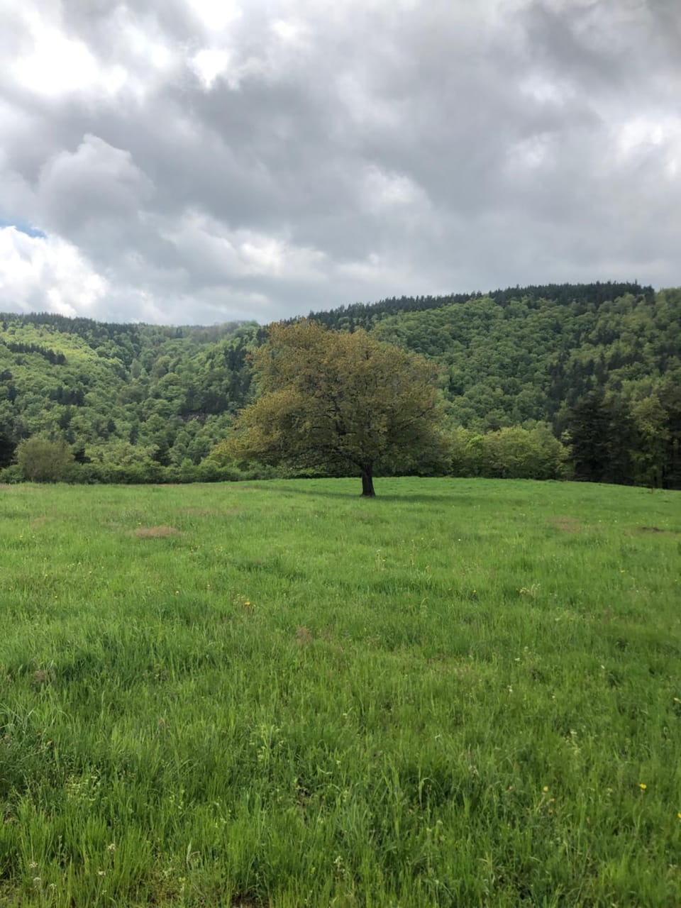 Maison sur le chemin de compostelle House in Auvergne-Rhône-Alpes