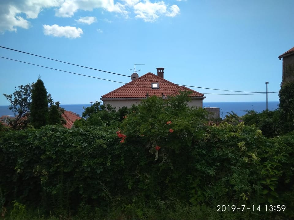 Quiet street view, Inner courtyard view