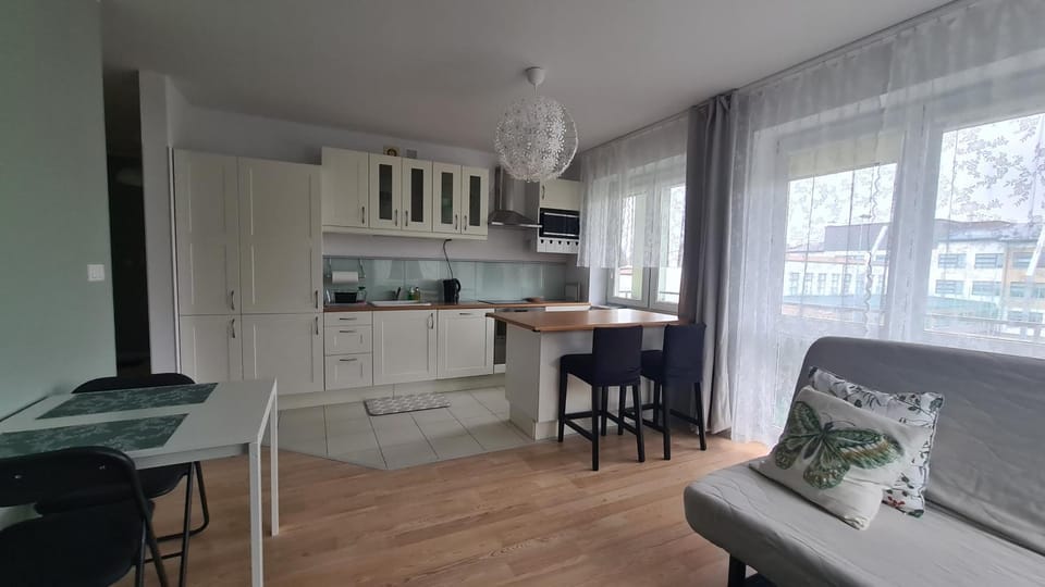 Kitchen or kitchenette, Dining area, dishwasher, stove