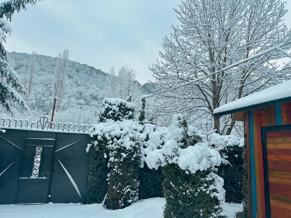 Church-View Lodge by Green Garden, Dilijan Bed and Breakfast in Armenia
