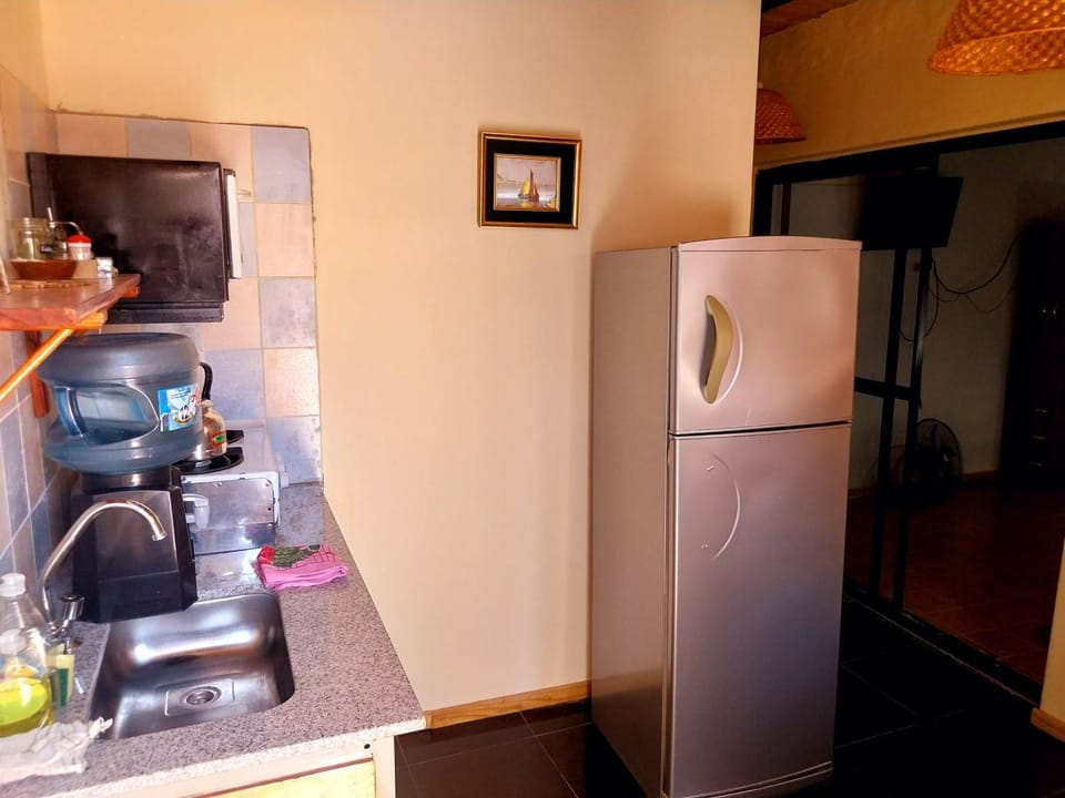 La casa de las flores Apartment in Mendoza