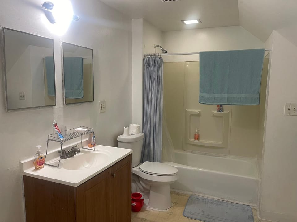 Shower, Toilet, Bathroom, Bath, towels