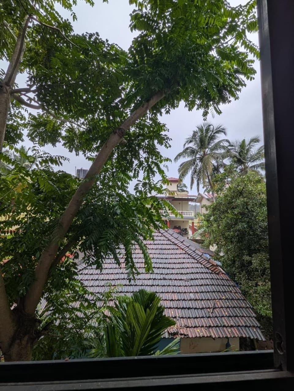 Garden view
