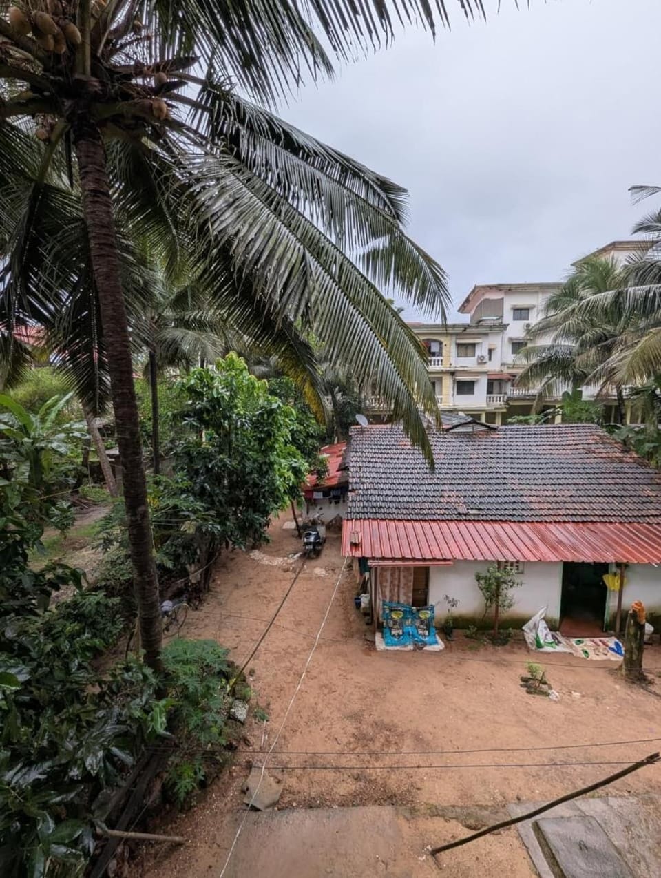 Property building, Garden view