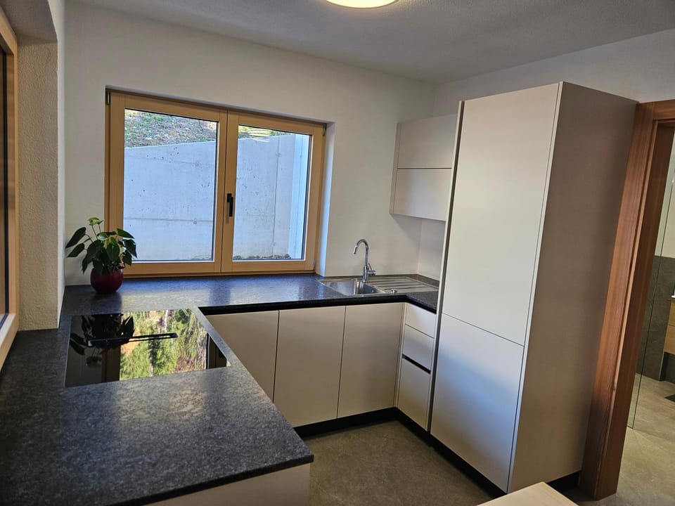 Kitchen or kitchenette, dishwasher, oven, stove