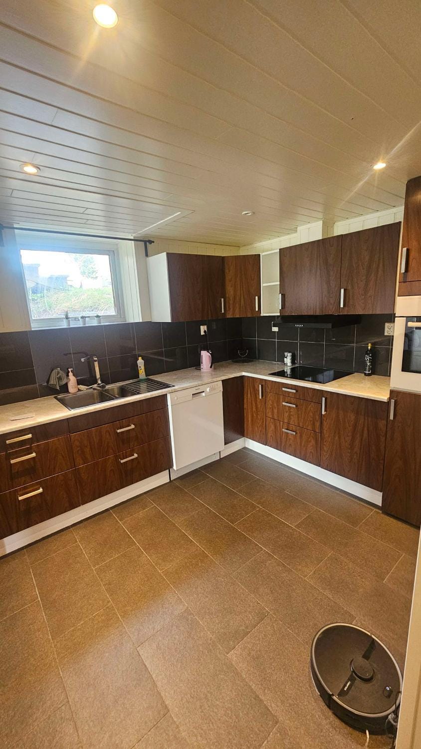 Kitchen or kitchenette, dishwasher, stove