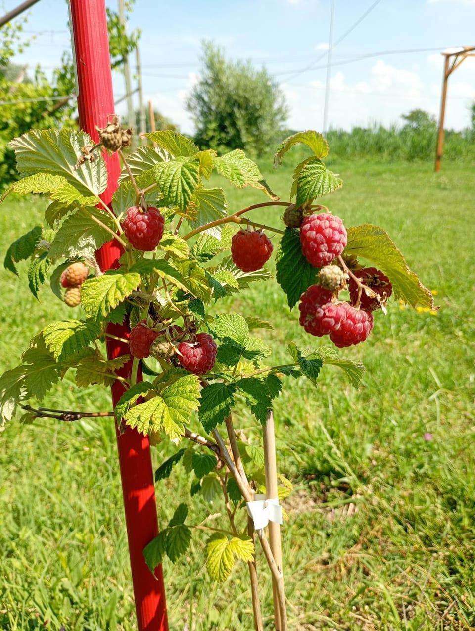 Agriturismo Carne Sicura Apartment in Lombardy