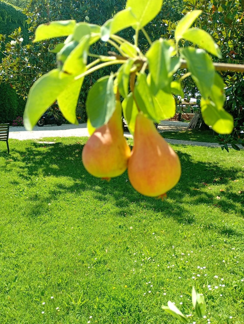 Agriturismo Carne Sicura Apartment in Lombardy