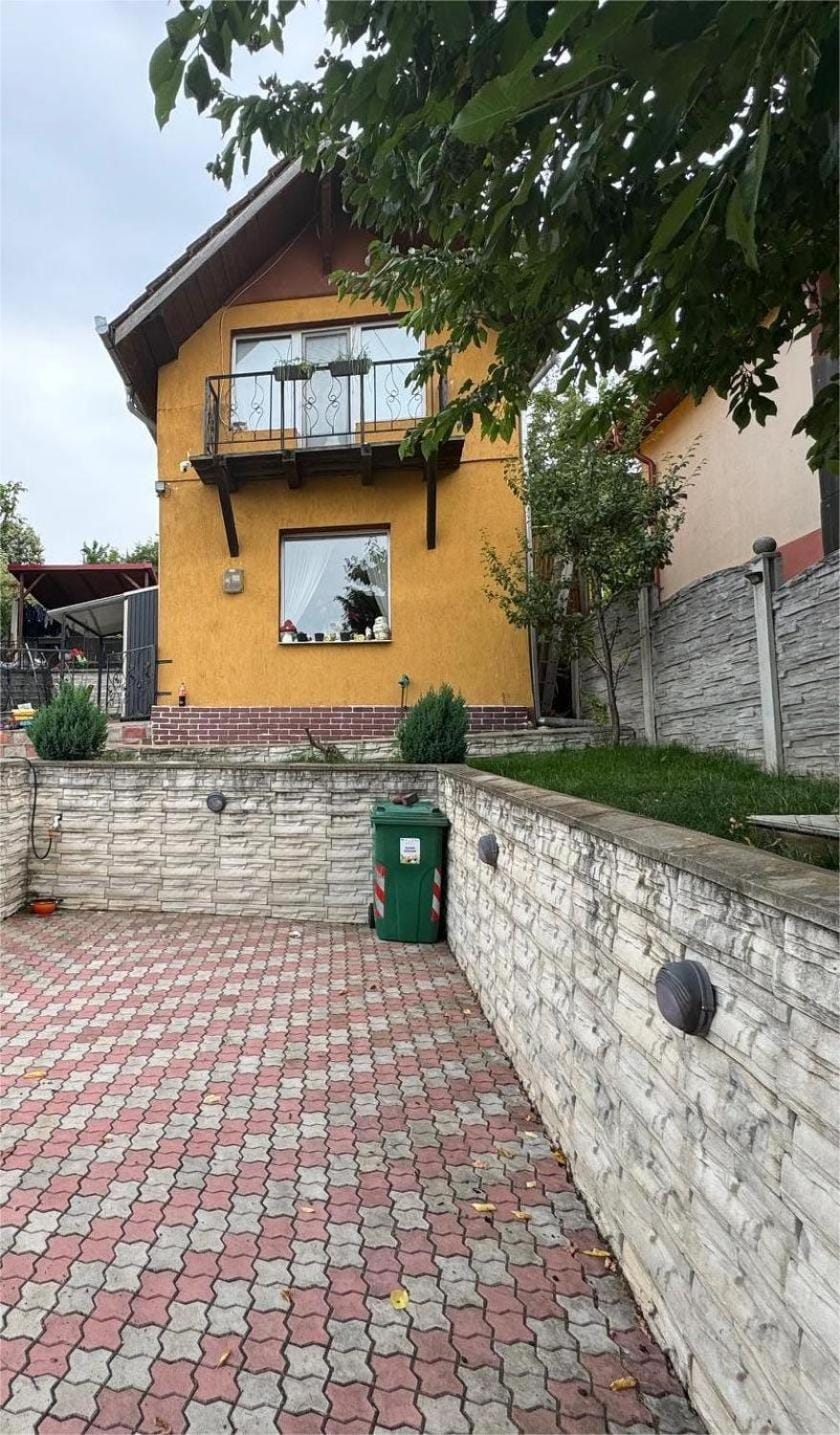 Casa Alex House in Romania