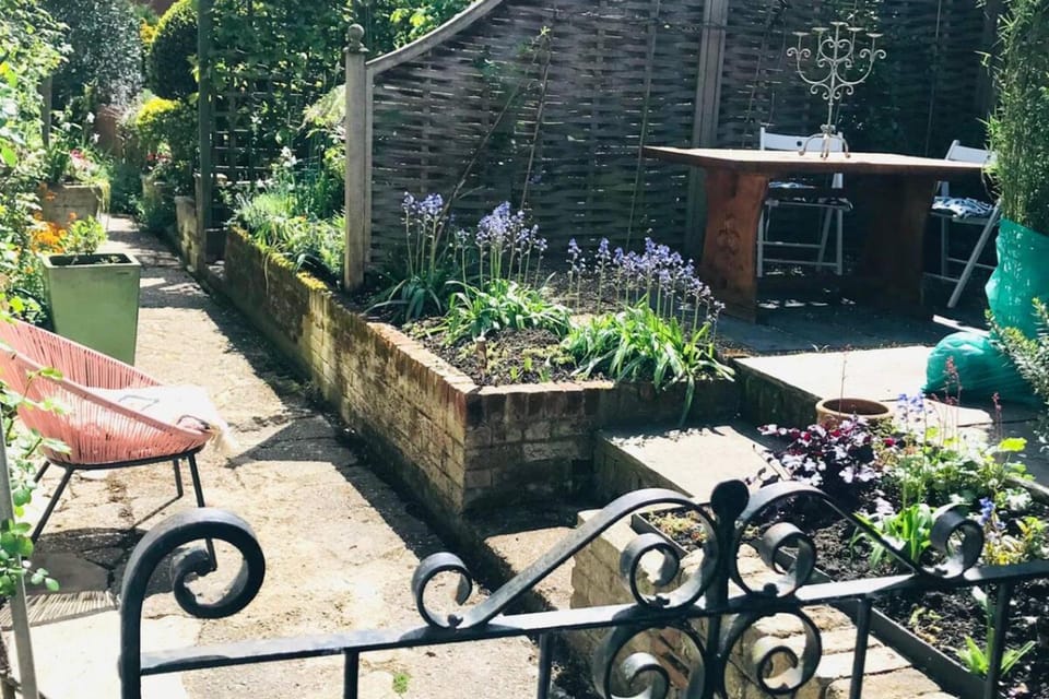 Garden, Garden, Seating area, Garden view