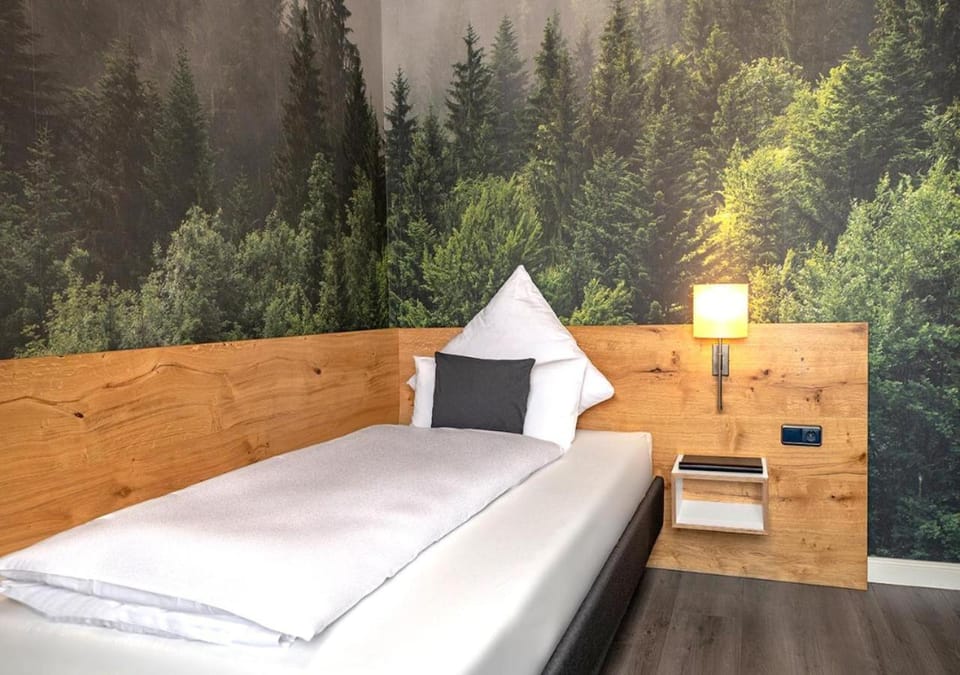 Boutique Hotel Zum grünen Baum Hotel in Hesse